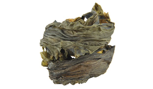 Unlock Radiant Skin with Norwegian Kelp | iS Clinical Skincare