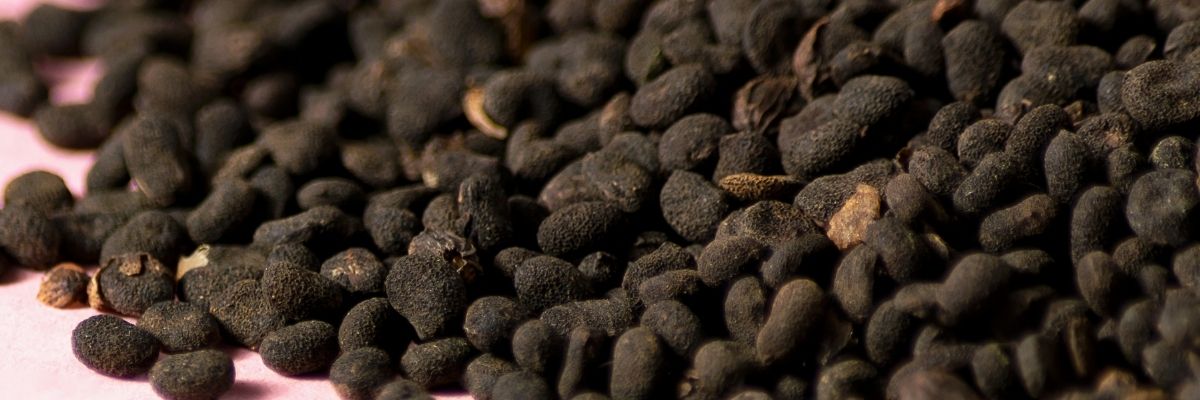 Key Skincare Ingredient: Bakuchiol