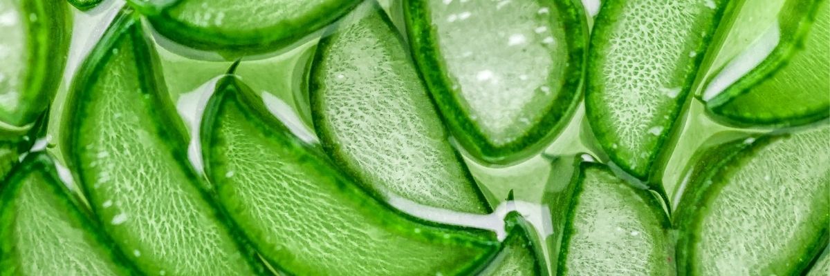 Key Skincare Ingredient: Aloe Vera 