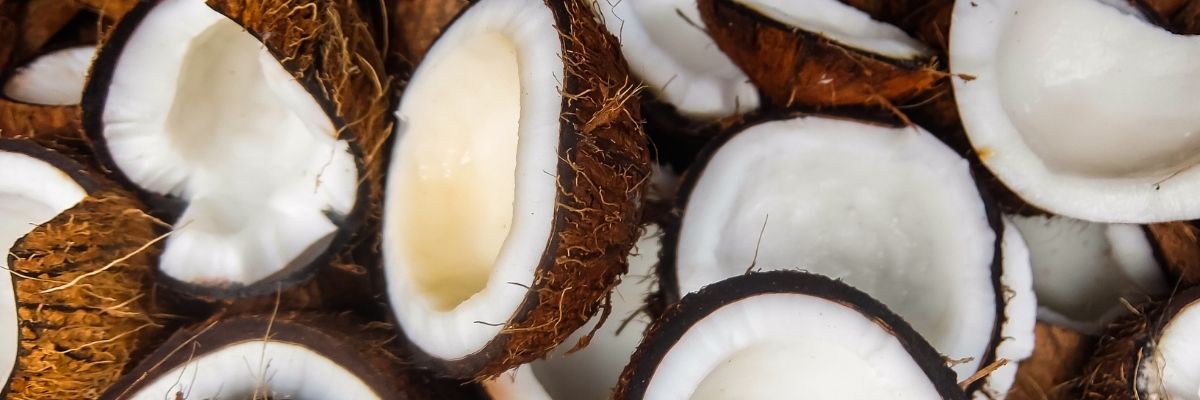 Key Skincare Ingredient: Coconut Oil Ingredient