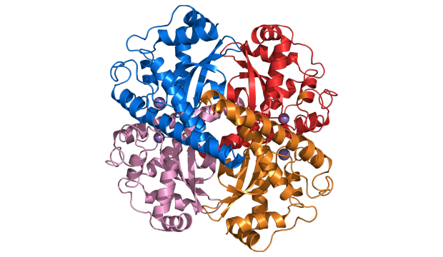 Key Skincare Ingredient: Superoxide Dismutase (SOD)