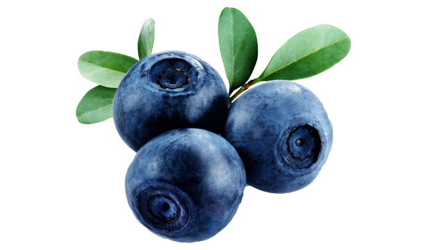 Bilberry Fruit Leaf Extract skincare ingredient iS Clinical