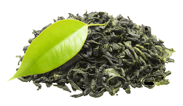 Green Tea Leaf Extract skincare ingredient iS Clinical
