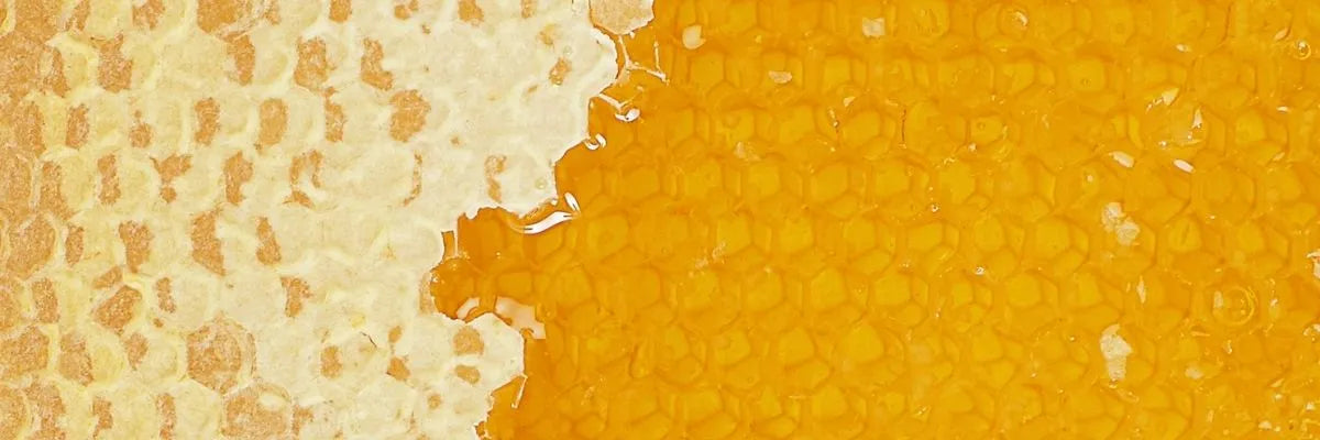 Key Skincare Ingredient: Honey 