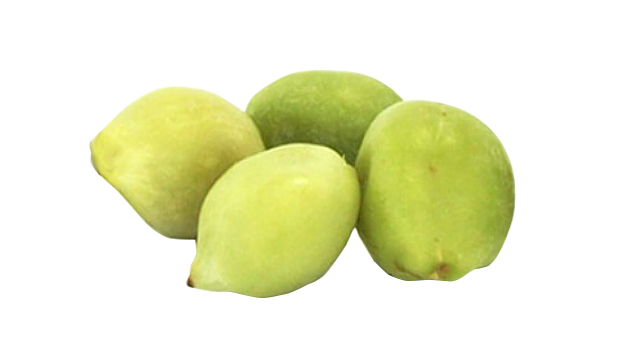 iS Clinical Skincare Products Containing Kakadu Plum Extract