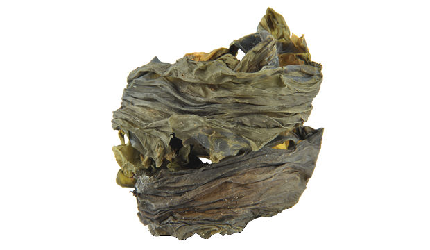 iS Clinical Skincare Products containing Norwegian Kelp