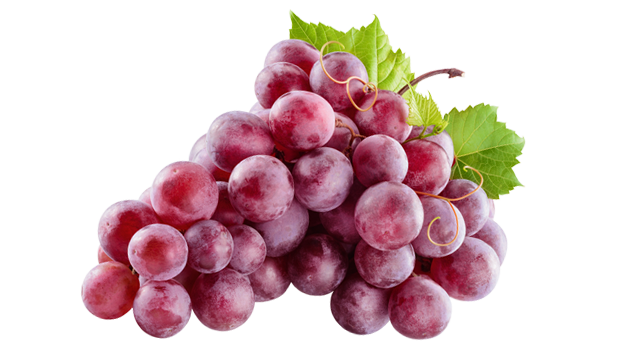 iS Clinical Skincare Products containing Resveratrol