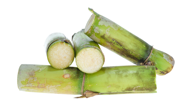 iS Clinical Skincare Products containing Sugarcane