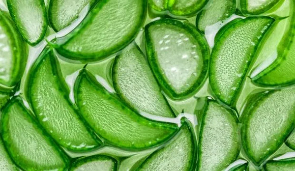 Aloe Leaf Extract