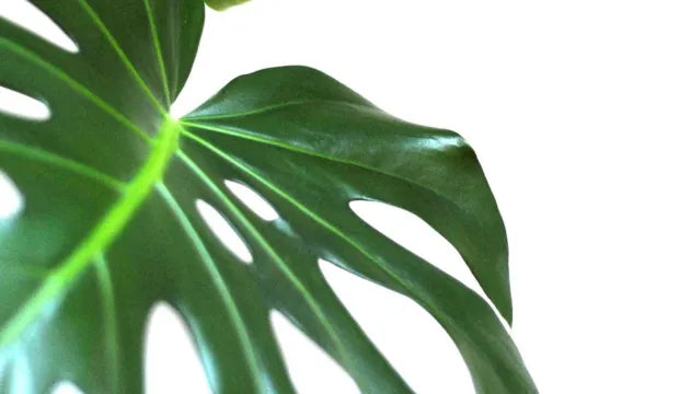 Eco-Friendly Microparticles