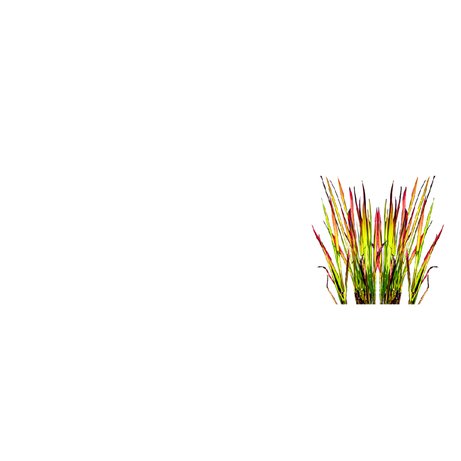 iS Clinical Skincare Products Containing Imperata Cylindrica Root Extr